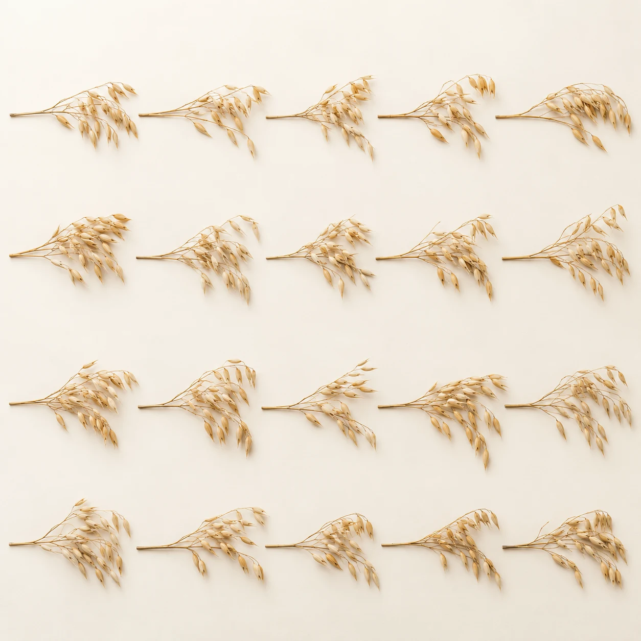 Natural oat stem bundle